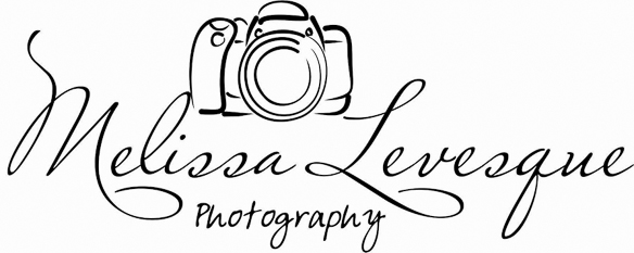 Melissa Levesque Photography logo